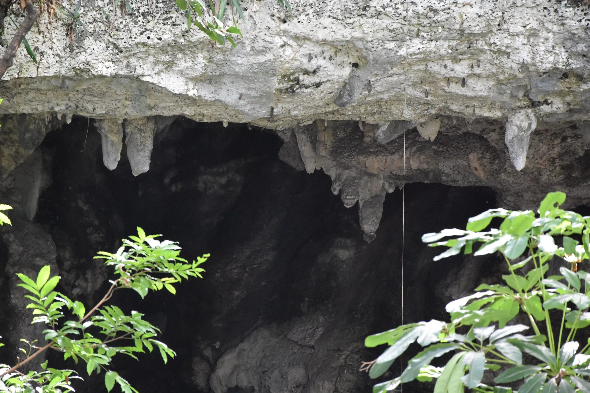 Los Tres Ojos: las lagunas subterráneas de Santo Domingo – 2
